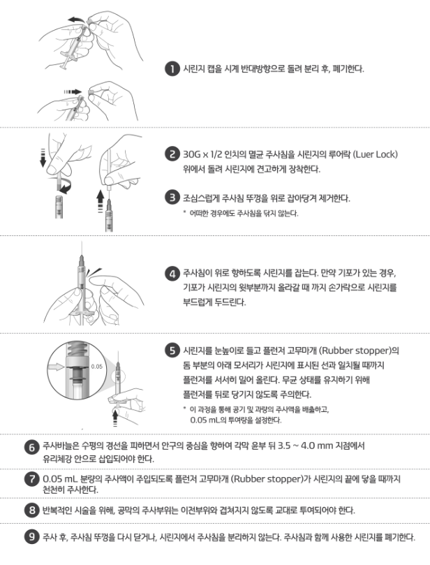 공식 설명서 삽화