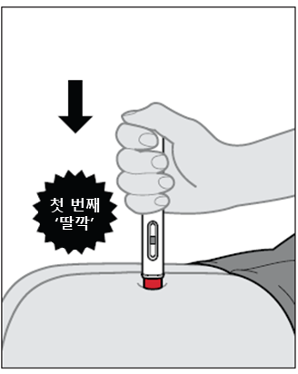 공식 설명서 삽화