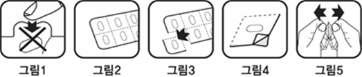 공식 설명서 삽화