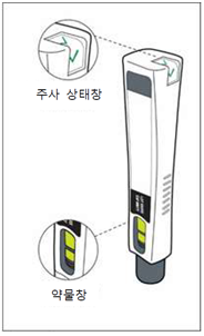 공식 설명서 삽화