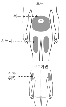 공식 설명서 삽화