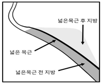공식 설명서 삽화