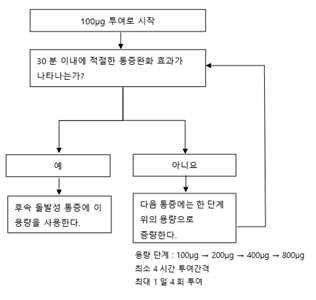 공식 설명서 삽화