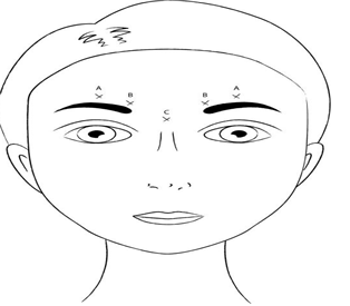 공식 설명서 삽화