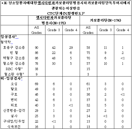 공식 설명서 삽화