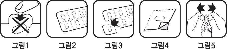 공식 설명서 삽화