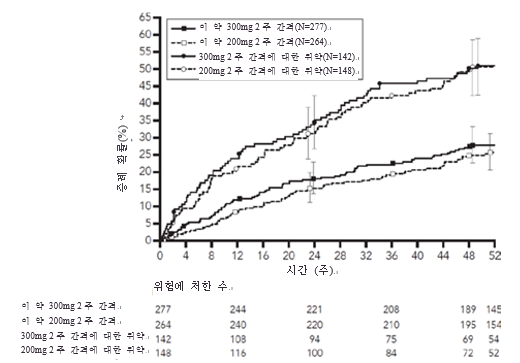 공식 설명서 삽화
