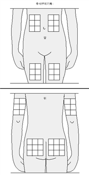 공식 설명서 삽화