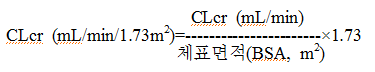 공식 설명서 삽화