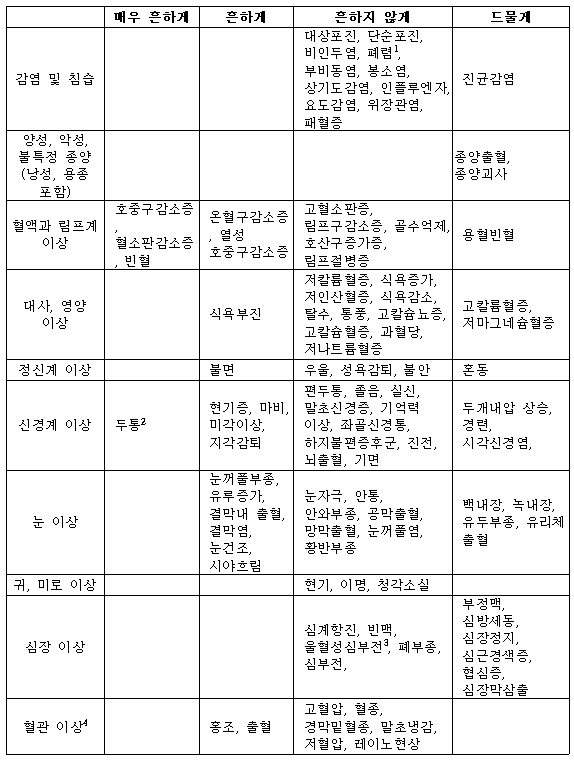 공식 설명서 삽화