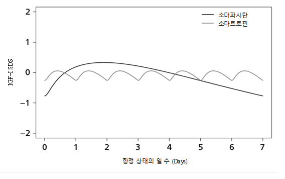 공식 설명서 삽화