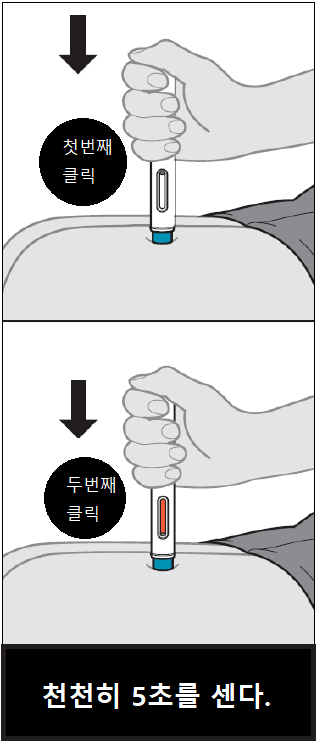 공식 설명서 삽화
