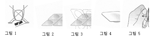 공식 설명서 삽화
