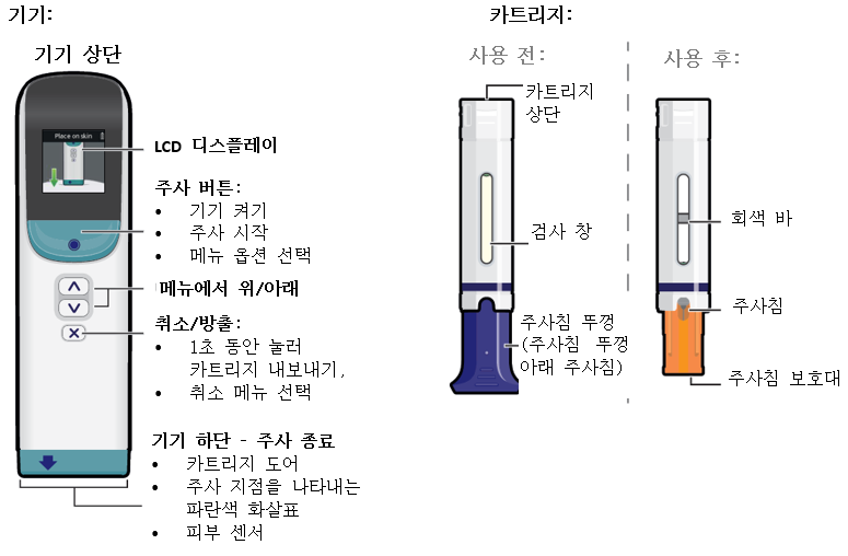 공식 설명서 삽화