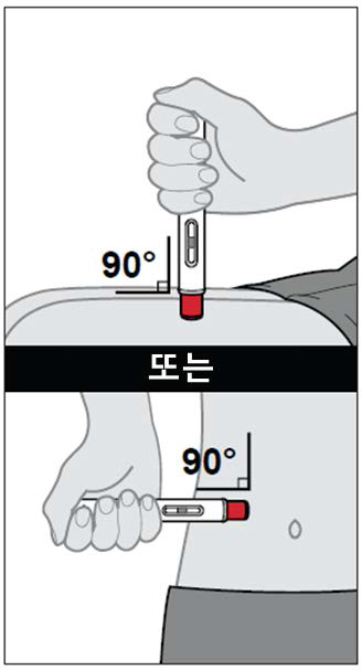공식 설명서 삽화