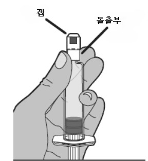 공식 설명서 삽화