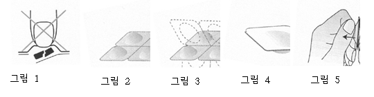 공식 설명서 삽화