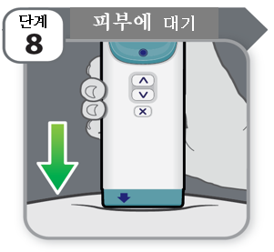 공식 설명서 삽화