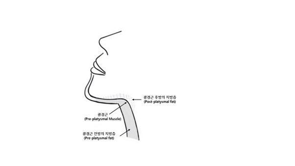 공식 설명서 삽화