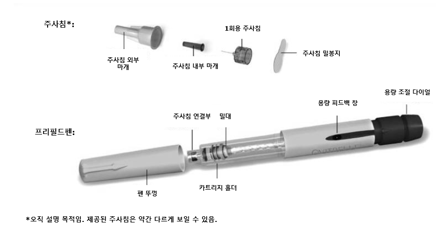 공식 설명서 삽화