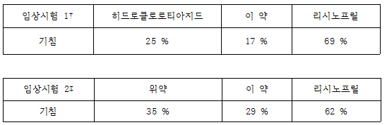 공식 설명서 삽화