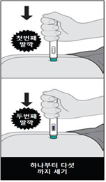 공식 설명서 삽화