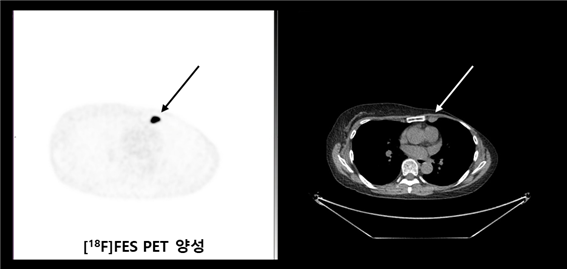 공식 설명서 삽화