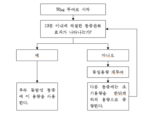 공식 설명서 삽화