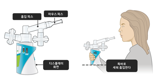 공식 설명서 삽화