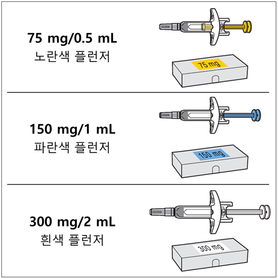 공식 설명서 삽화