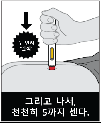 공식 설명서 삽화