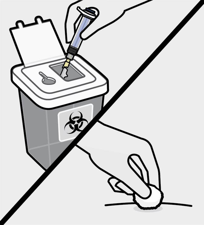 공식 설명서 삽화
