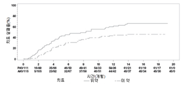 공식 설명서 삽화
