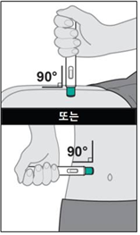공식 설명서 삽화