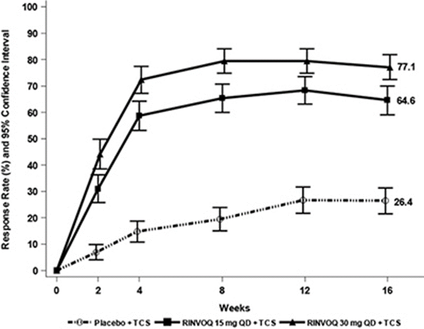 공식 설명서 삽화