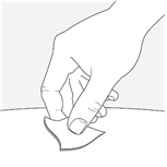 공식 설명서 삽화