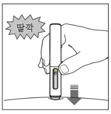 공식 설명서 삽화