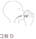 공식 설명서 삽화