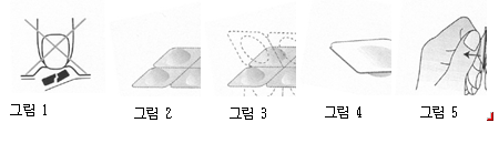 공식 설명서 삽화