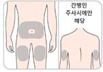 공식 설명서 삽화