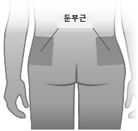 공식 설명서 삽화