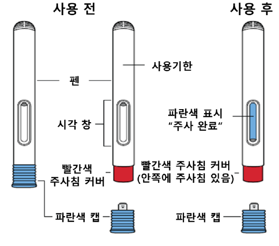 공식 설명서 삽화
