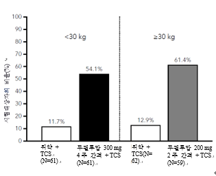 공식 설명서 삽화