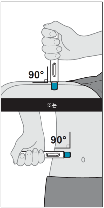 공식 설명서 삽화