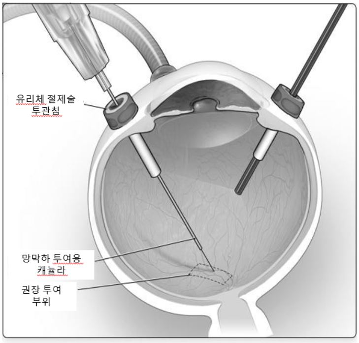 그림입니다.
원본 그림의 이름: image9.png
원본 그림의 크기: 가로 729pixel, 세로 697pixel