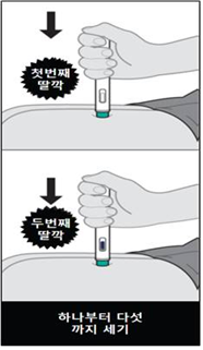 공식 설명서 삽화