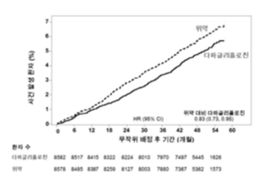 공식 설명서 삽화