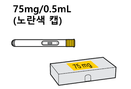 공식 설명서 삽화