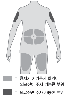 공식 설명서 삽화