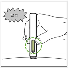 공식 설명서 삽화